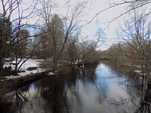 Sudbury River in March by Barbara L. Slavin
