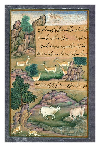 016-Memorias de Babur-1500-1600-Biblioteca Digital Mundial