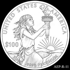 2014 American Eagle Platinum design AEP_R_11