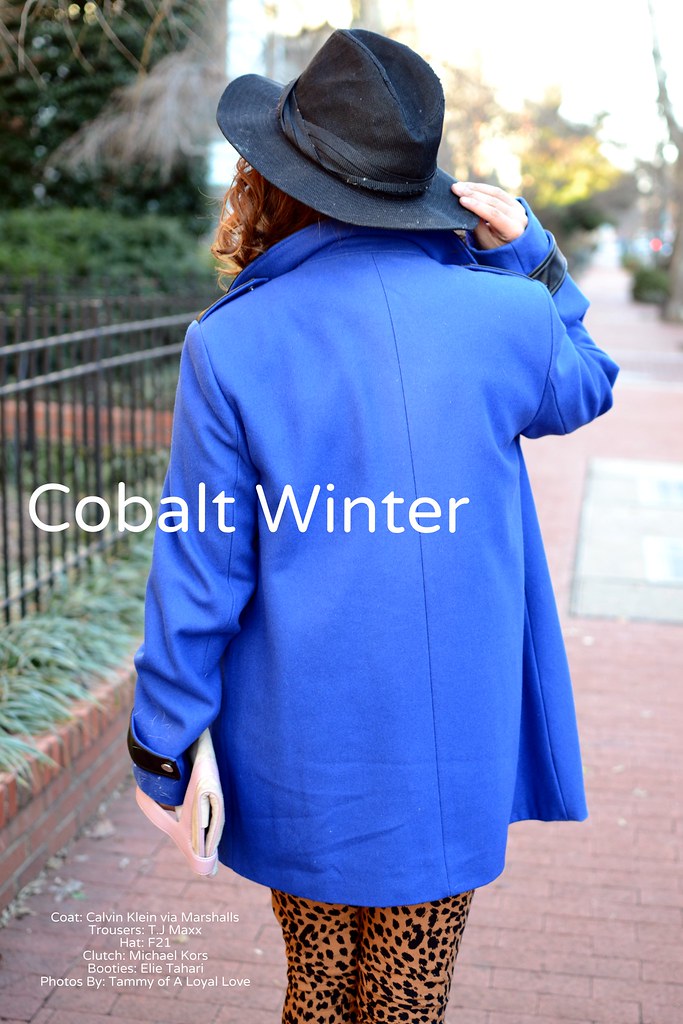 Spicy Candy DC. Cobalt blue coat, leopard print  trousers 038