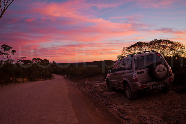 Newnes State Forest Sunset