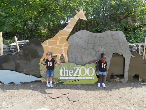 Zoo 2013