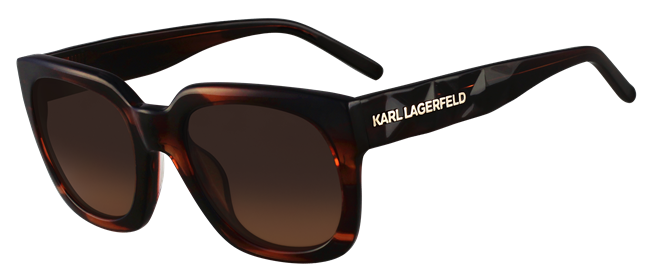 7 Karl Lagerfeld