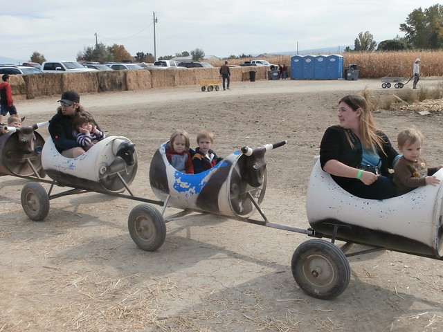 Colorado Halloween Activities - Studt's Pumpkin Patch tractor pulled ride