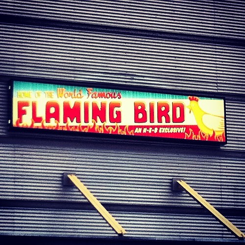This made me chuckle. So... What does a Flaming Bird say? by seanclaes