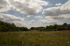 Braywick Nature Reserve