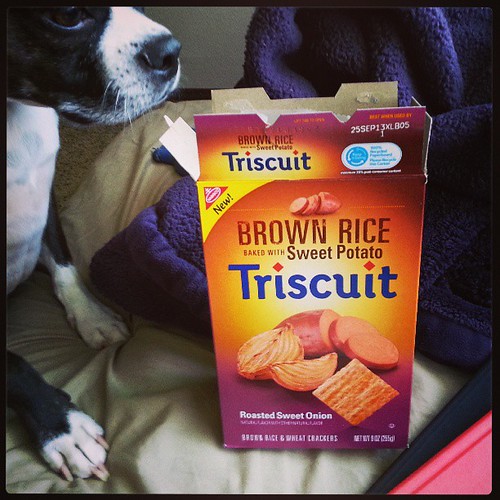 Sorry Steve, no onion for dogs! #triscuits