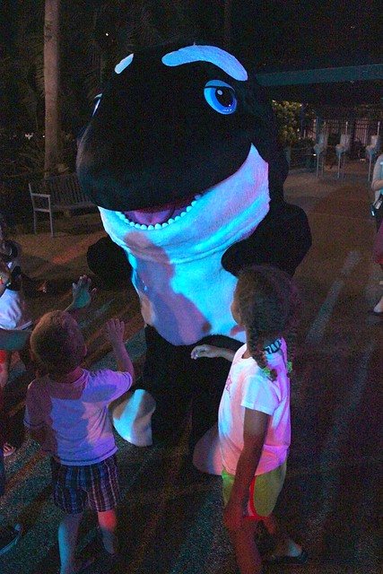 SeaWorld Orlando Summer Nights 2013