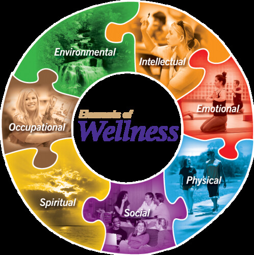 Wellness_Wheel.png
