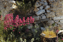 Kreta 2013
