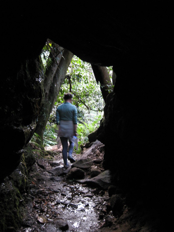 The track takes hikers though a sandstone tunnel