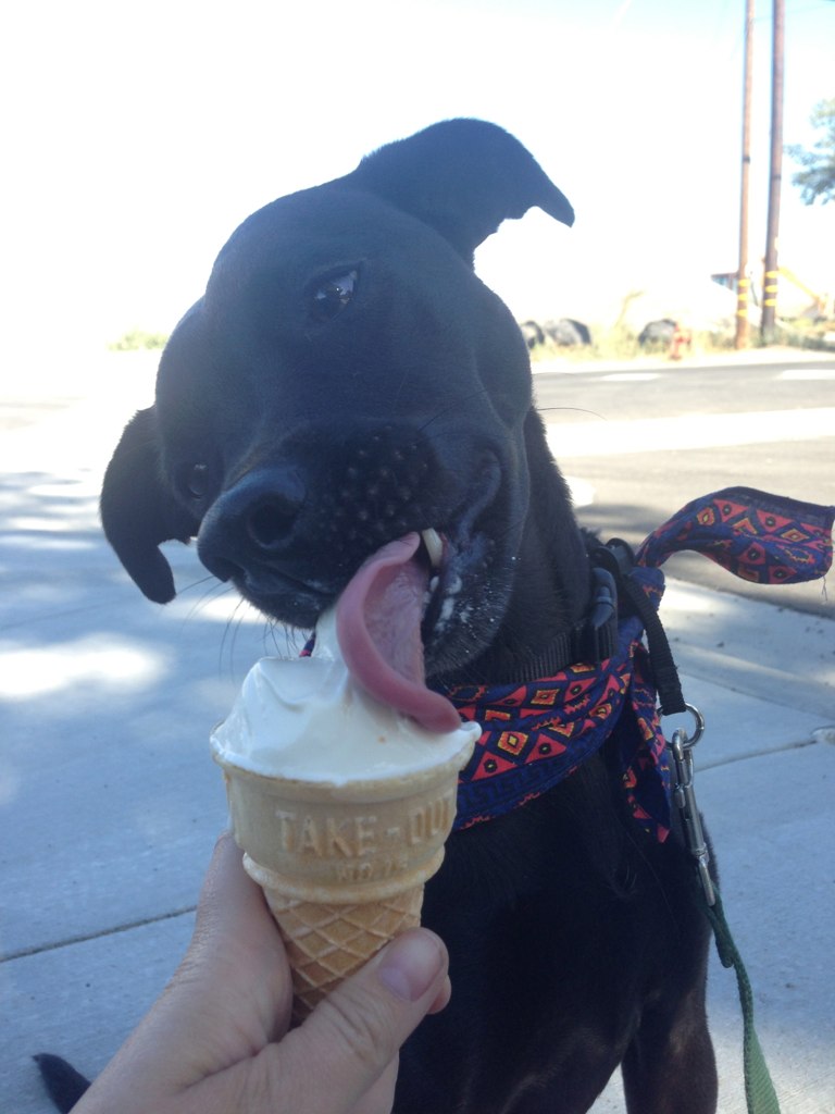 Sai likes ice cream