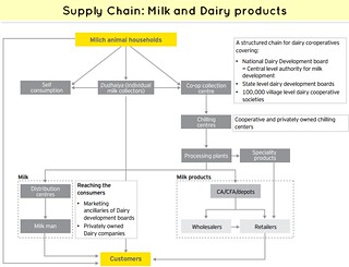 Supply Chain Milk and Dairy products