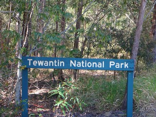 Tewantin State Forest