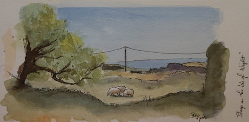 Sheep on the Isle of Wight by briemarie