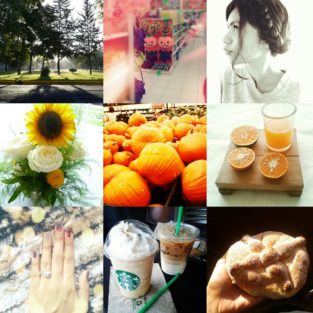 Raspberry Bloom: Instagram Diaries http://instagram.com/dianaabaroa