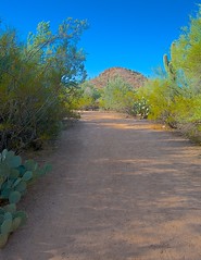 AZ Botanical Garden 2013