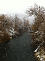 November 9, 2012 c (Provo River Trail/Provo Canyon)