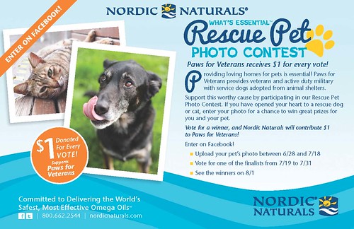 WHAT'SESSENTIALPETPHOTOCONTEST-FLYER_Page_1