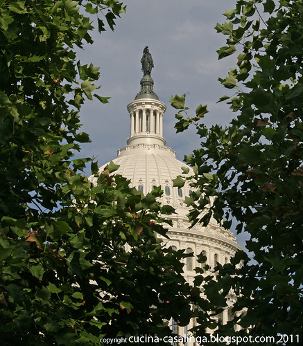 Capitol Spitze