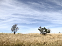 Kangaroo Valley 2013