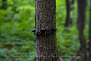 Near sighted tree?