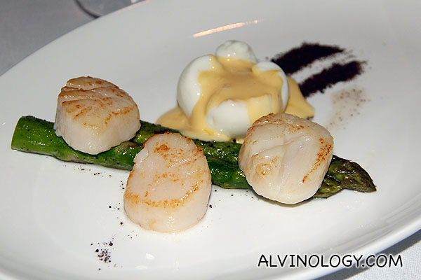Pan Seared Scallops (S$28) - served with grilled asparagus, poached eggs and hollandaise sauce with mushroom soil and shaved parmesan