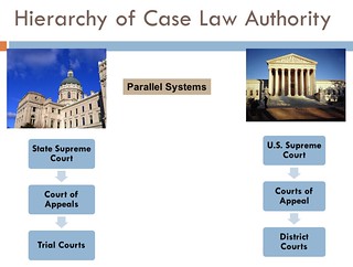 the federal court system
