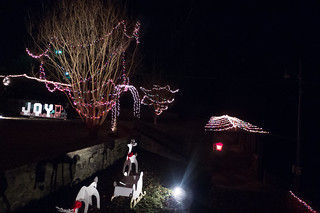 Pacolet Christmas Lights-001
