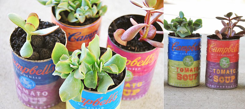 DIY andy warhol soup can succulent planters