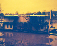 Lobster Redscale 110