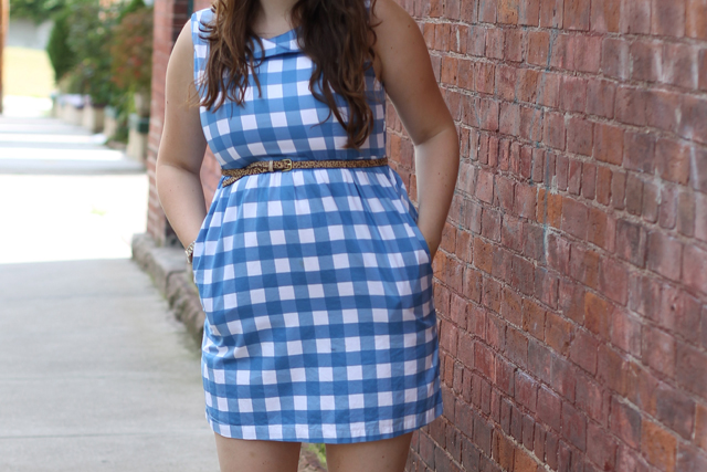 Picnic Outfit: Ruche blue gingham dress, vintage jellies, leopard horsehair skinny belt