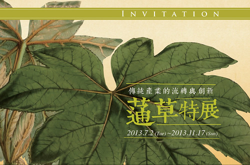 蓪草特展即日起連續4個月在台北植物園欽差行台展出。