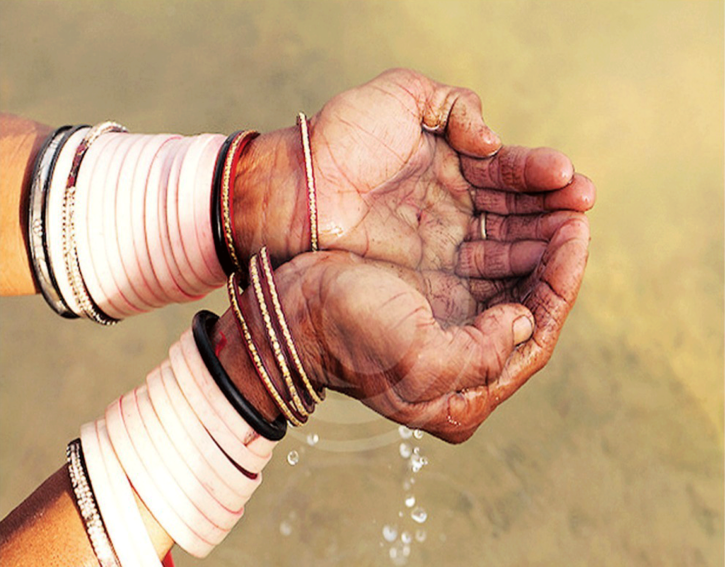 राजस्थान में जल संरक्षण