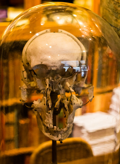 Medicinal exploded view of skull