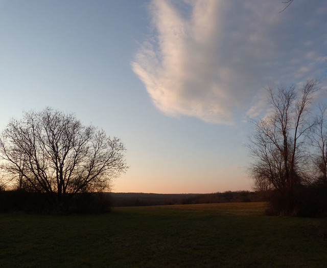 evening-field