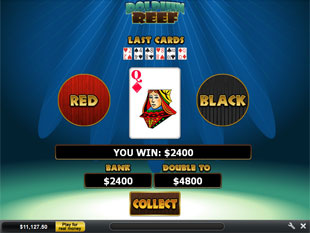 free Dolphin Reef Gamble Feature