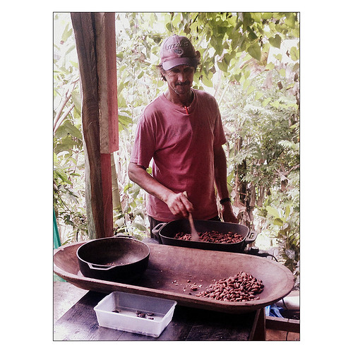 Cacao Beans Roasting