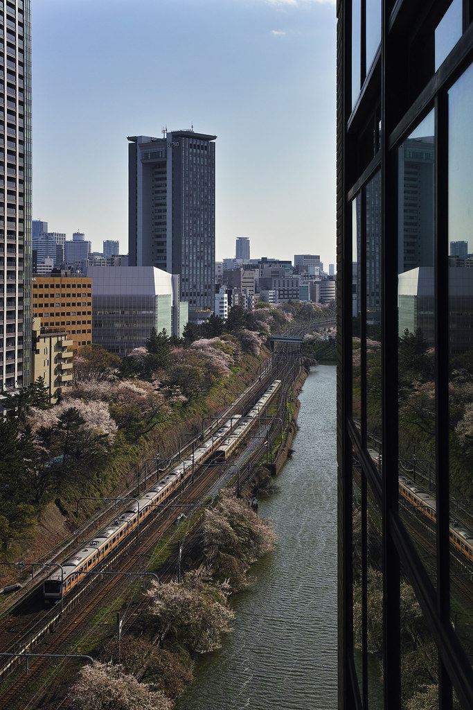 飯田橋の桜と電車
