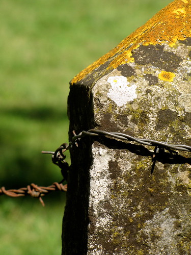 Barbed Wire on Stone by K.G.Hawes