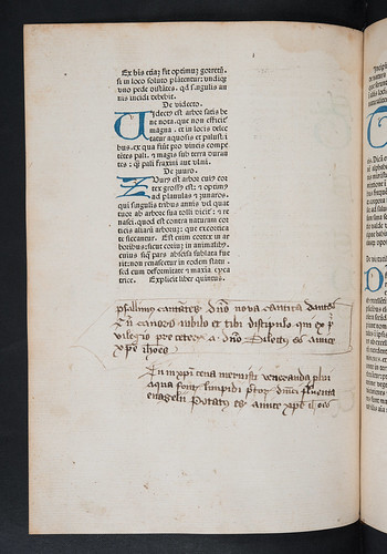 Manuscript annotations in Crescentiis, Petrus de: Ruralia commoda
