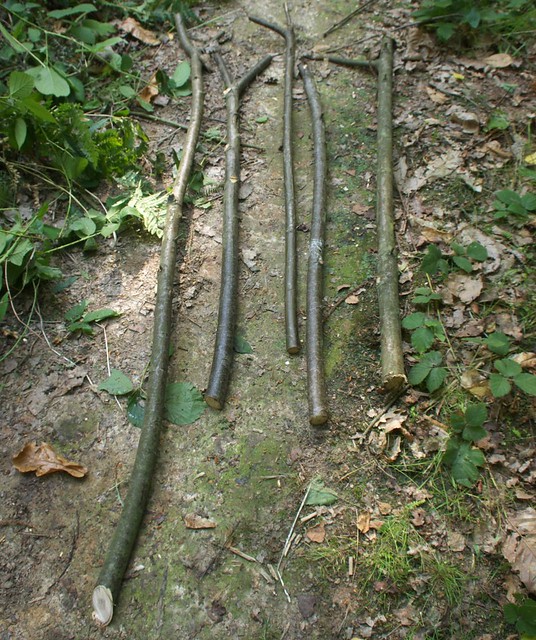 DSC_7023 walking sticks