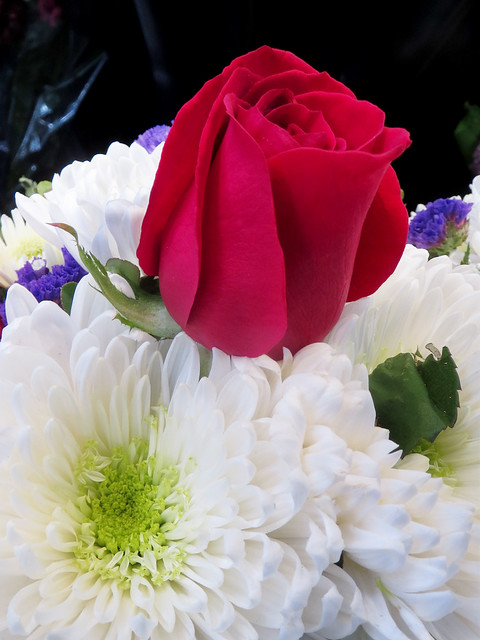 Red Roses and White Daisies Flower Bouquet