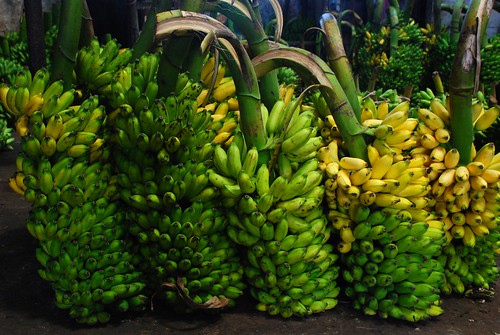 bananas 1, Colombo