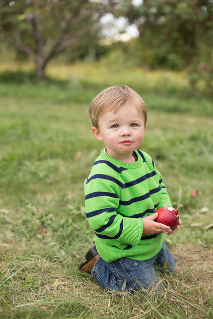 apple picking (35 of 85)