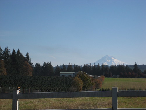 Mount Hood from Judd Road