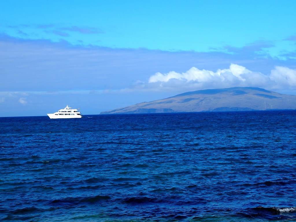 Whale Bay, Santa Cruz, Galapagos