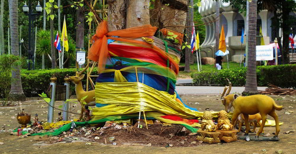 Sacred tree in Thailand