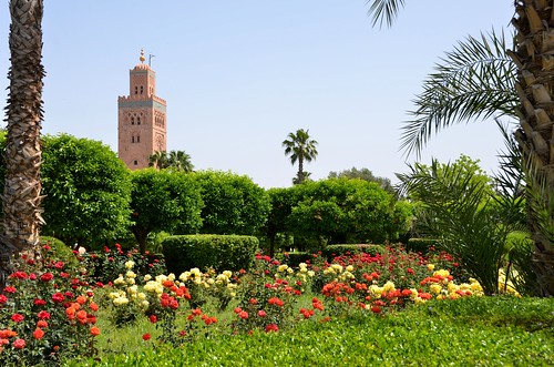 Marrakech (Maroc)  - Koutoubia - Jardins