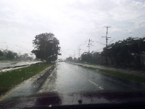 Rainy Windshield (August 10 2013)